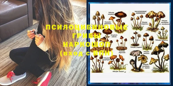 соль курить ск Богданович